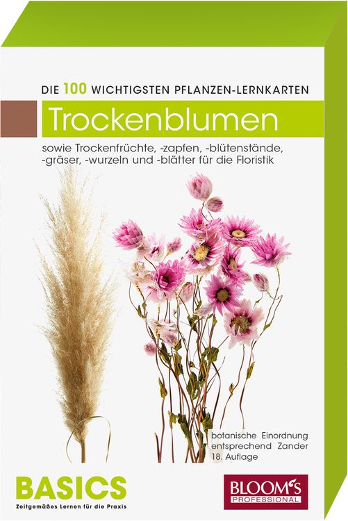 Produktbild: Trockenblumen/Trockenfloralien