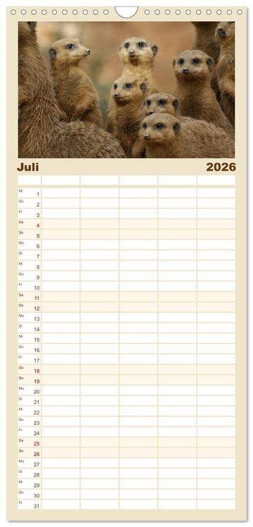 Produktbild: Familienplaner 2026 - Erdm&auml;nnchen: Zusammen sind wir stark mit 5 Spalten (Wandkalender, 21 x 45 cm) CALVENDO