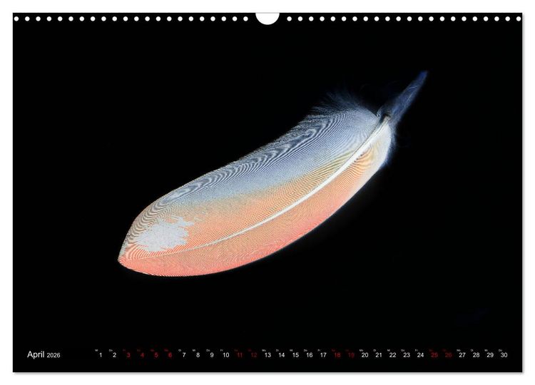 Produktbild: Federleichte Momente (Wandkalender 2026 DIN A3 quer), CALVENDO Monatskalender