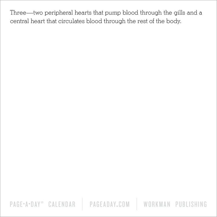 Produktbild: 365 Days of Amazing Trivia Page-A-Day(r) Calendar 2026