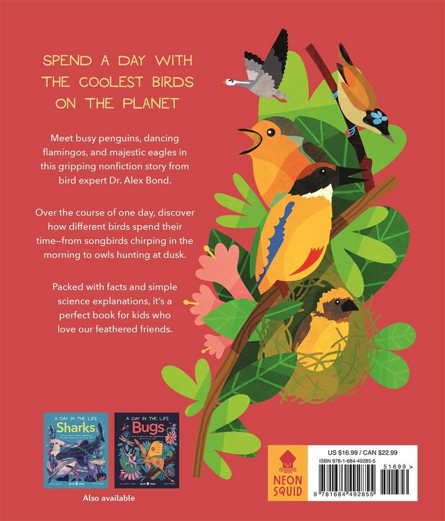 Produktbild: Birds (a Day in the Life)