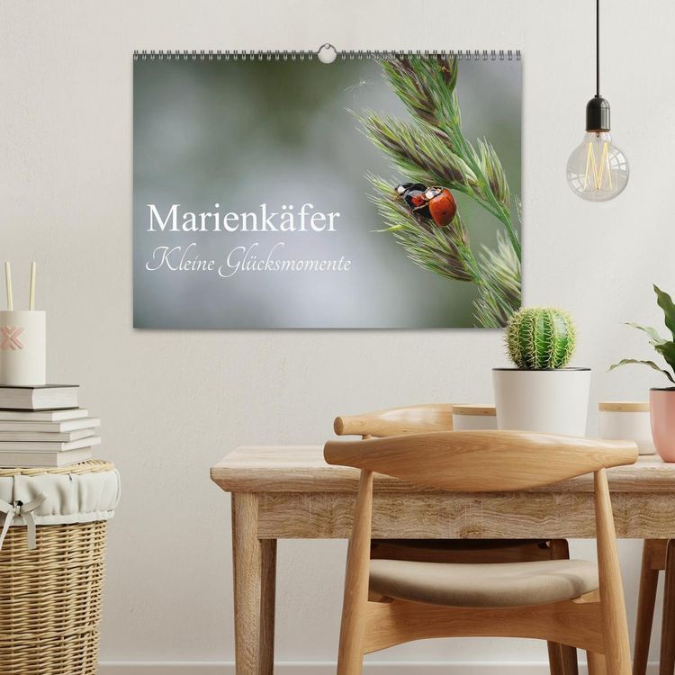 Produktbild: Marienk&auml;fer - kleine Gl&uuml;cksmomente (Wandkalender 2026 DIN A3 quer), CALVENDO Monatskalender