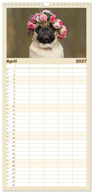 Produktbild: Familienplaner 2027 - Lustige M&ouml;pse aus der Hundeknipserei mit 5 Spalten (Wandkalender, 21 x 45 cm) CALVENDO