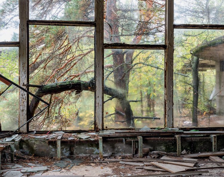Produktbild: Growth and Decay