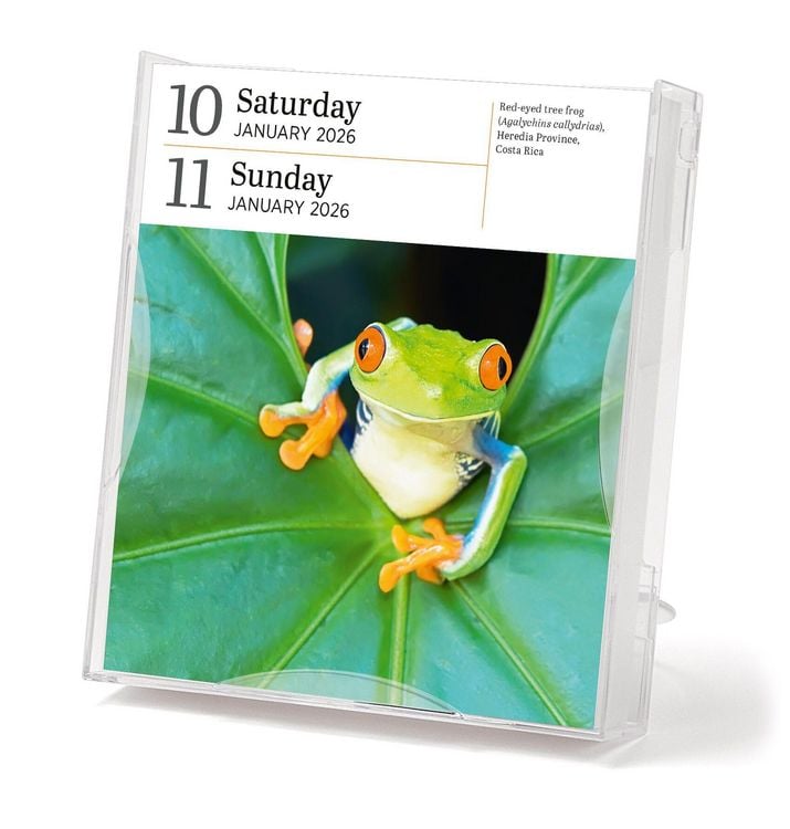 Produktbild: Audubon Nature Page-A-Day(r) Gallery Calendar 2026