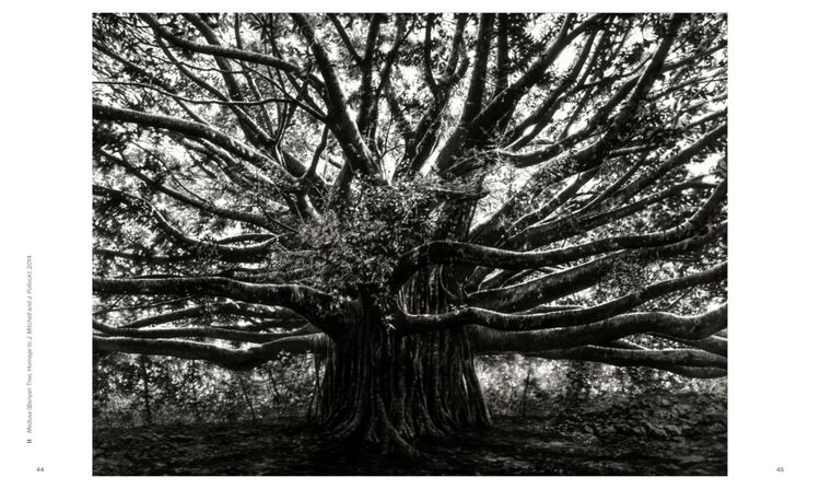 Produktbild: Robert Longo: The Acceleration of History