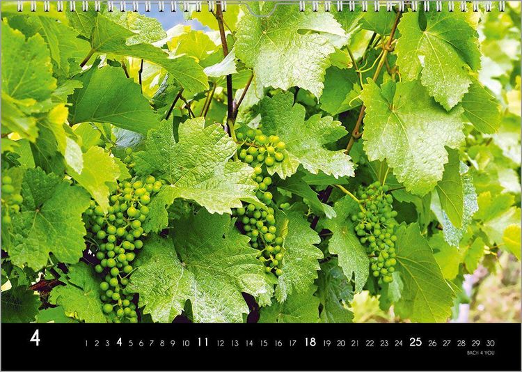 Produktbild: Der Weinkalender 2027, DIN A3 &ndash; ein Fotokalender