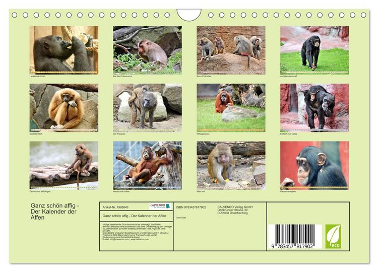 Produktbild: Ganz sch&ouml;n affig - Der Kalender der Affen (Wandkalender 2026 DIN A4 quer), CALVENDO Monatskalender