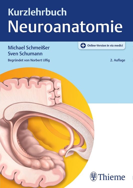 Produktbild: Kurzlehrbuch Neuroanatomie