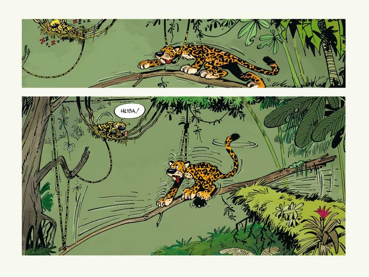Produktbild: Huba! - Eine Marsupilami-Liebesgeschichte (Hochwertige Jubil&auml;umsedition 100 Jahre Franquin)