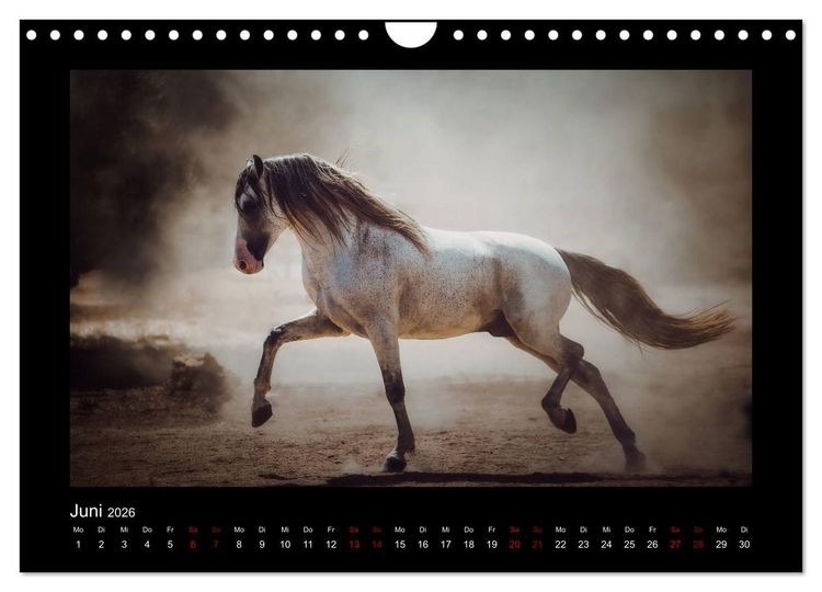 Produktbild: Die Faszinierende Welt der Pferde (Wandkalender 2026 DIN A4 quer), CALVENDO Monatskalender