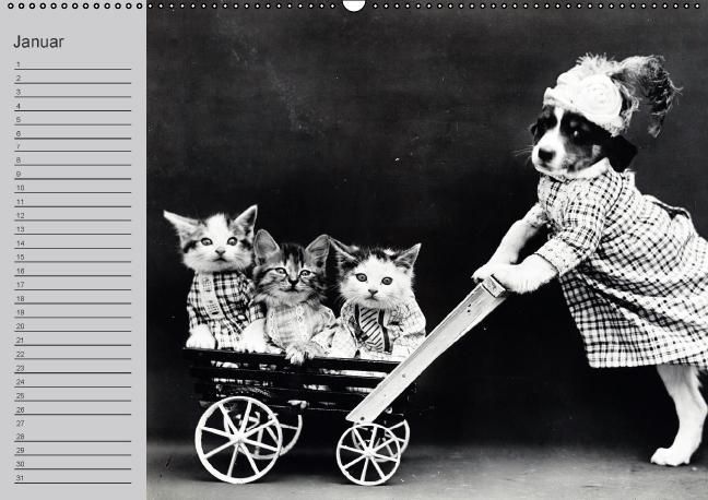 Produktbild: Katzen und Hunde - Nostalgie auf Pfoten (Wandkalender immerw&auml;hrend DIN A2 quer)
