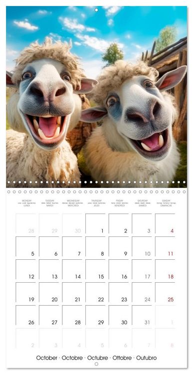 Produktbild: Jolly Selfies (Wall Calendar 2026 12 &times; 12 Inch) CALVENDO 12 Month Wall Calendar