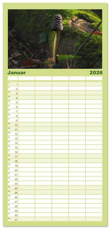 Produktbild: Familienplaner 2026 - Wundersame Pilzwelten mit 5 Spalten (Wandkalender, 21 x 45 cm) CALVENDO