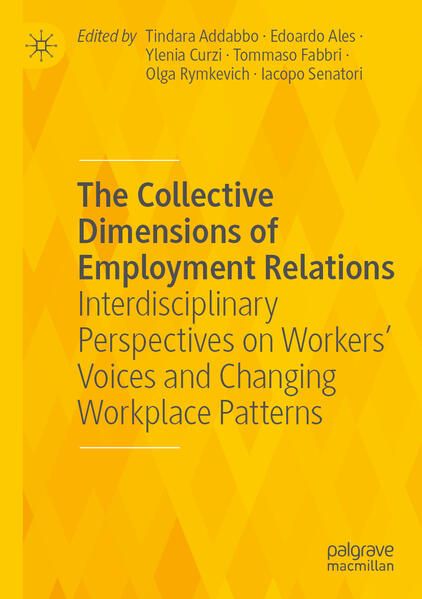 Produktbild: The Collective Dimensions of Employment Relations