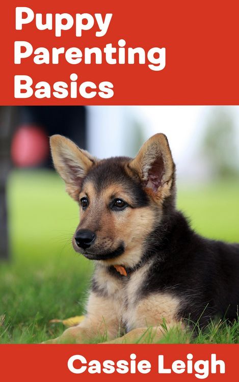 Produktbild: Puppy Parenting Basics