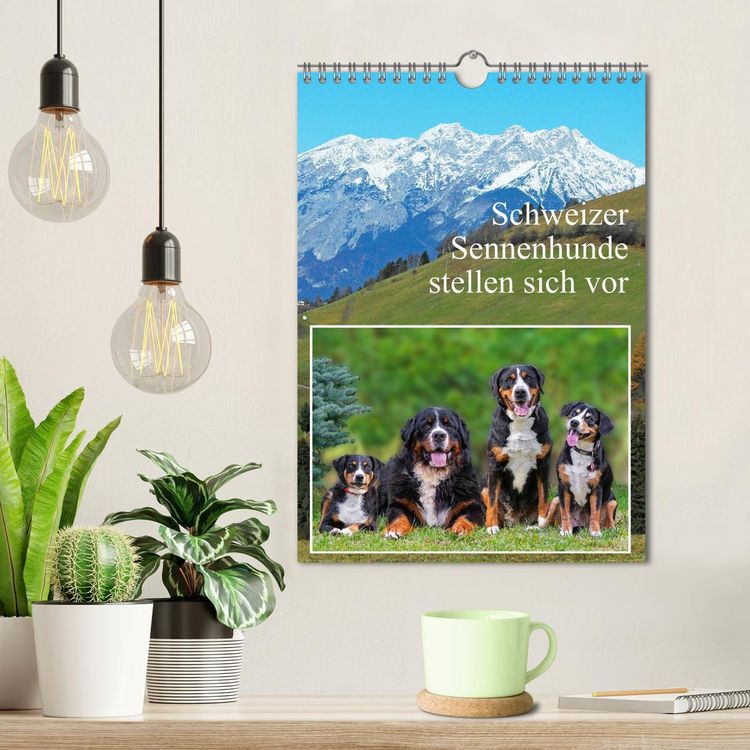 Produktbild: Schweizer Sennenhunde stellen sich vor (Wandkalender 2026 DIN A4 hoch), CALVENDO Monatskalender
