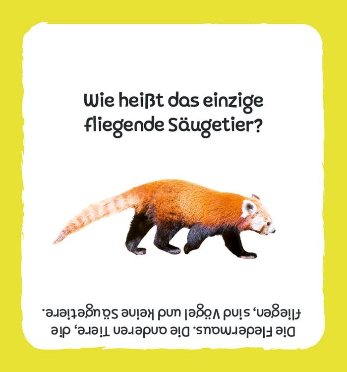 Produktbild: Kartenbox: Das gro&szlig;e Quiz &ndash; Tiere