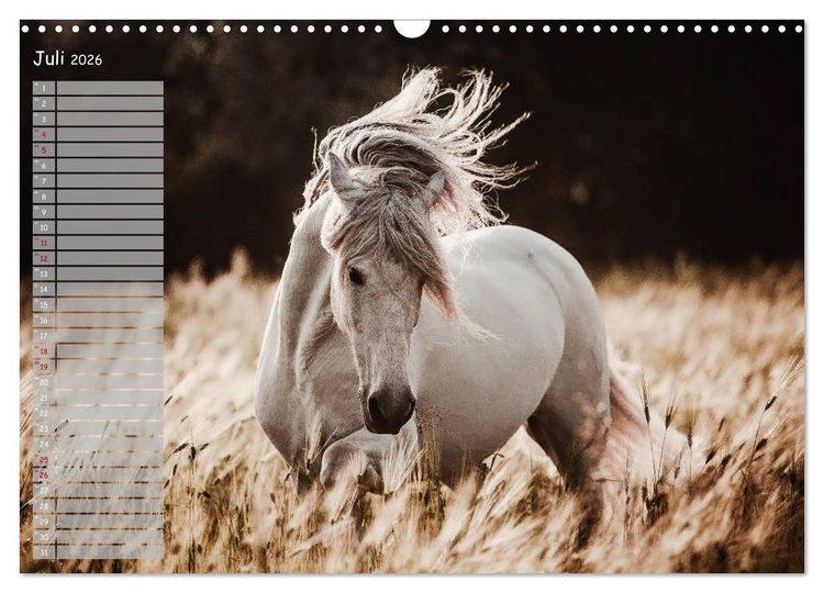 Produktbild: Pferde - Spiegel deiner Seele (Wandkalender 2026 DIN A3 quer), CALVENDO Monatskalender