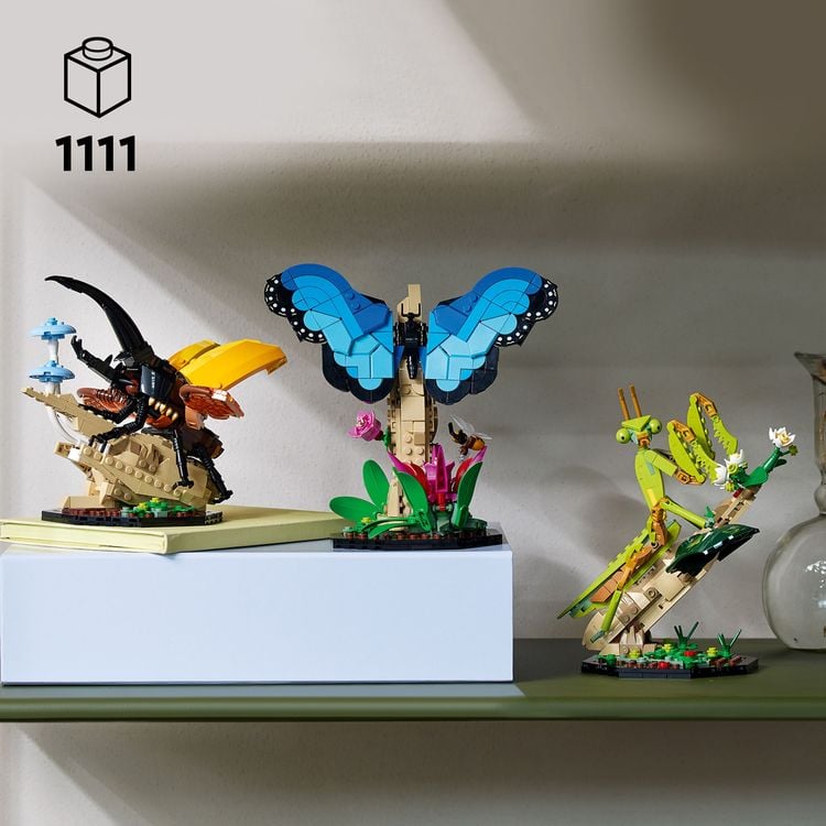 Produktbild: LEGO Ideas 21342 Die Insektensammlung, 3 Insekten-Modelle mit Schmetterling