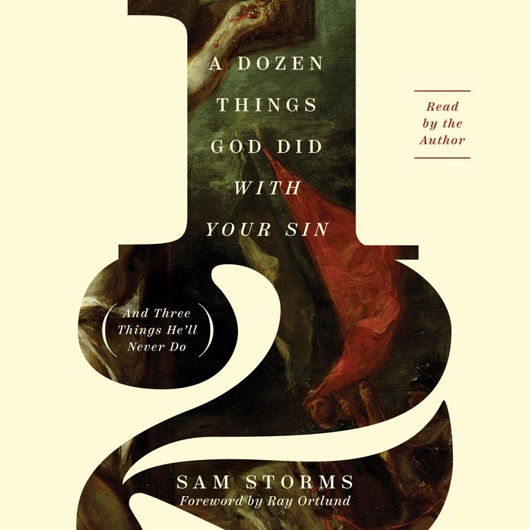 Produktbild: A Dozen Things God Did with Your Sin (And Three Things He'll Never Do)
