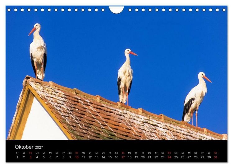 Produktbild: E L S A S S Impressionen (Wandkalender 2027 DIN A4 quer), CALVENDO Monatskalender