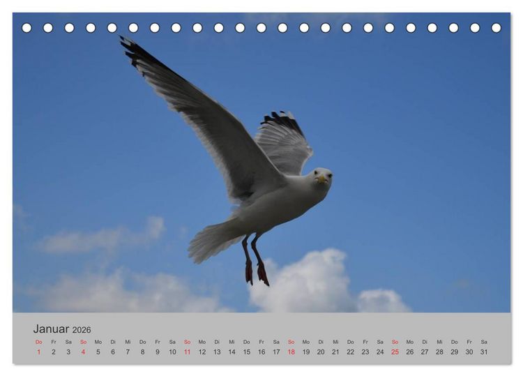 Produktbild: Impressionen von Texel (Tischkalender 2026 DIN A5 quer), CALVENDO Monatskalender