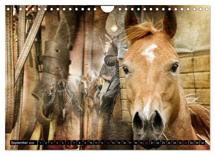 Produktbild: Western und Pferde (Wandkalender 2026 DIN A4 quer), CALVENDO Monatskalender