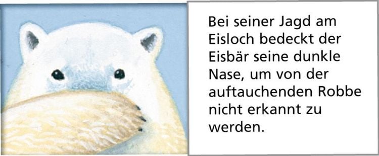 Produktbild: Wandkalender - Tiere der Arktis