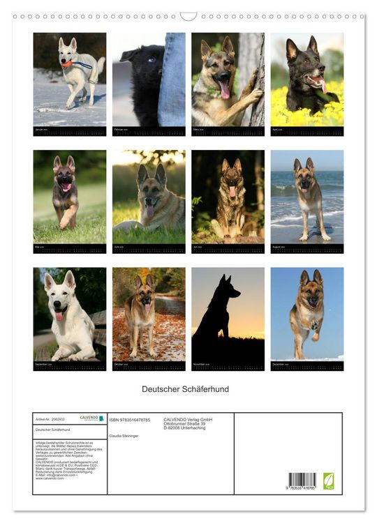 Produktbild: Deutscher Sch&auml;ferhund (Wandkalender 2026 DIN A2 hoch), CALVENDO Monatskalender