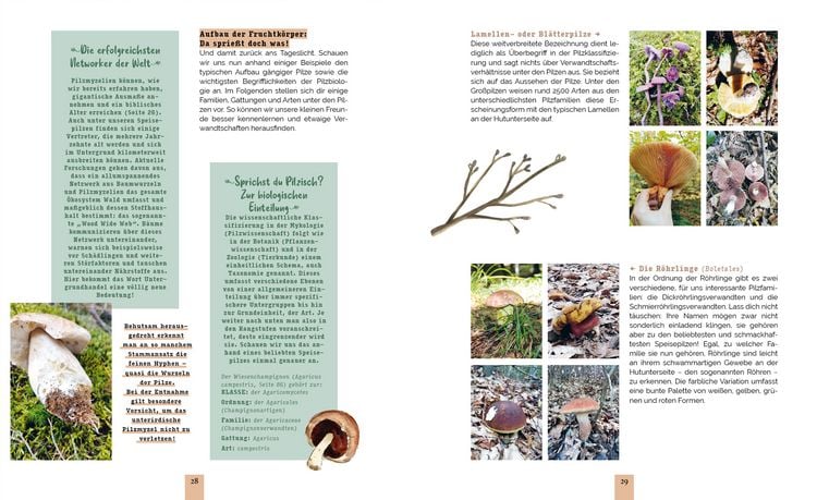Produktbild: Pilzvergn&uuml;gt
