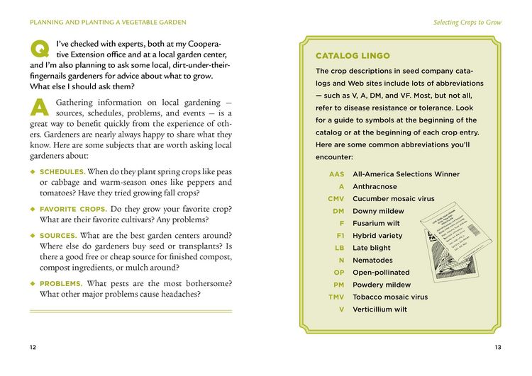 Produktbild: The Veggie Gardener's Answer Book