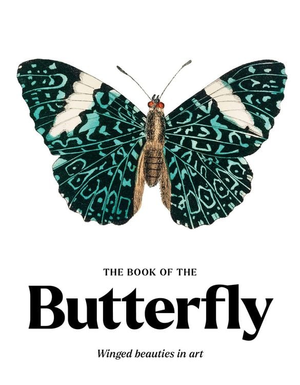 Produktbild: The Book of the Butterfly