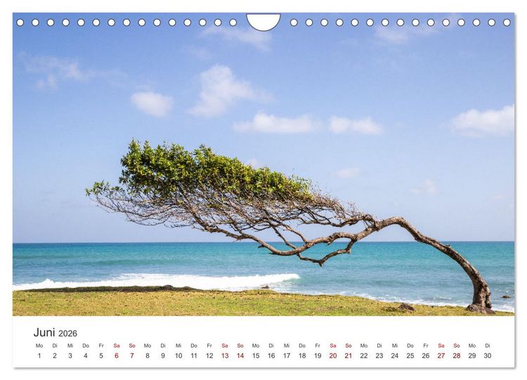 Produktbild: Guadeloupe, Trauminsel der Franz&ouml;sische Antillen (Wandkalender 2026 DIN A4 quer), CALVENDO Monatskalender