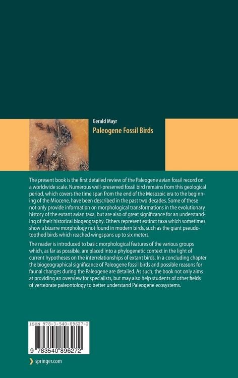 Produktbild: Paleogene Fossil Birds