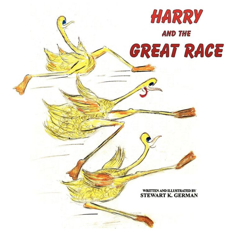 Produktbild: Harry and the Great Race
