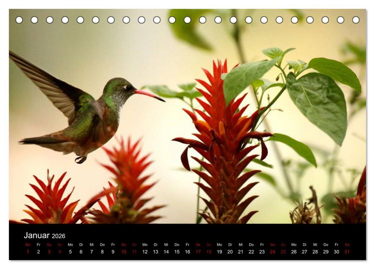 Produktbild: Ama la Vida Ecuador (Tischkalender 2026 DIN A5 quer), CALVENDO Monatskalender