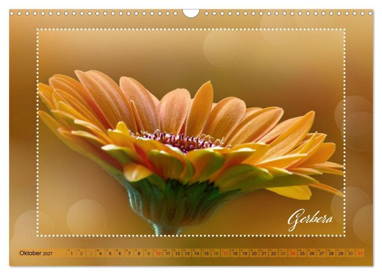 Produktbild: Bl&uuml;tenbouquet (Wandkalender 2027 DIN A3 quer), CALVENDO Monatskalender