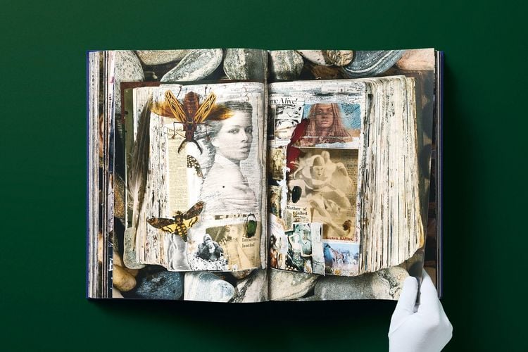 Produktbild: Peter Beard