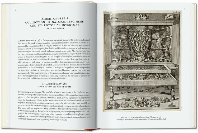 Seba. Cabinet of Natural Curiosities. 40th Ed.
