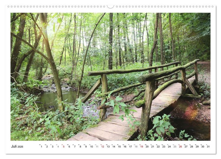 Produktbild: Mein Sehnsuchtsort, der heimische Wald (Wandkalender 2026 DIN A2 quer), CALVENDO Monatskalender