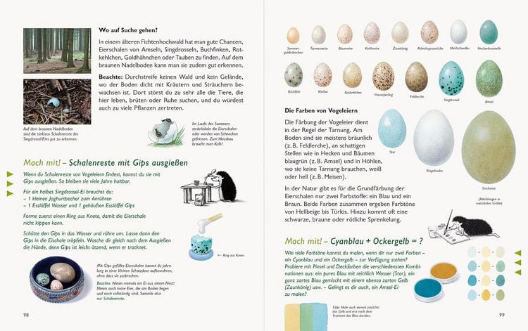 Produktbild: Wawra's Naturbuch &ndash; Unserer Natur auf der Spur, Bd. 1: S&auml;ugetiere, V&ouml;gel, Reptilien, Amphibien