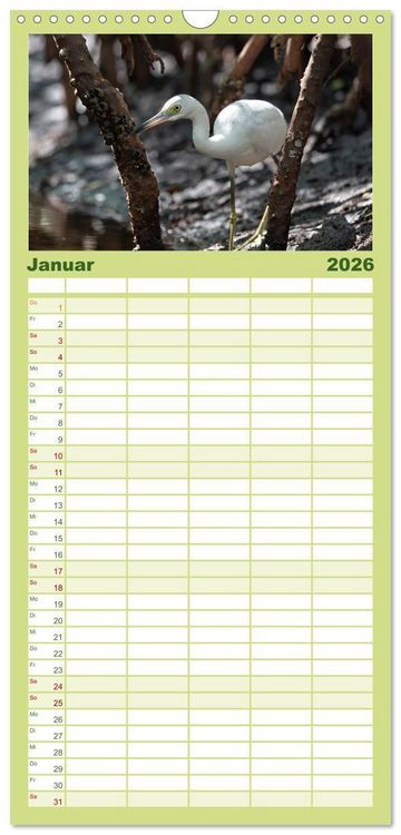 Produktbild: Familienplaner 2026 - Blaureiher und Dreifarbenreiher mit 5 Spalten (Wandkalender, 21 x 45 cm) CALVENDO