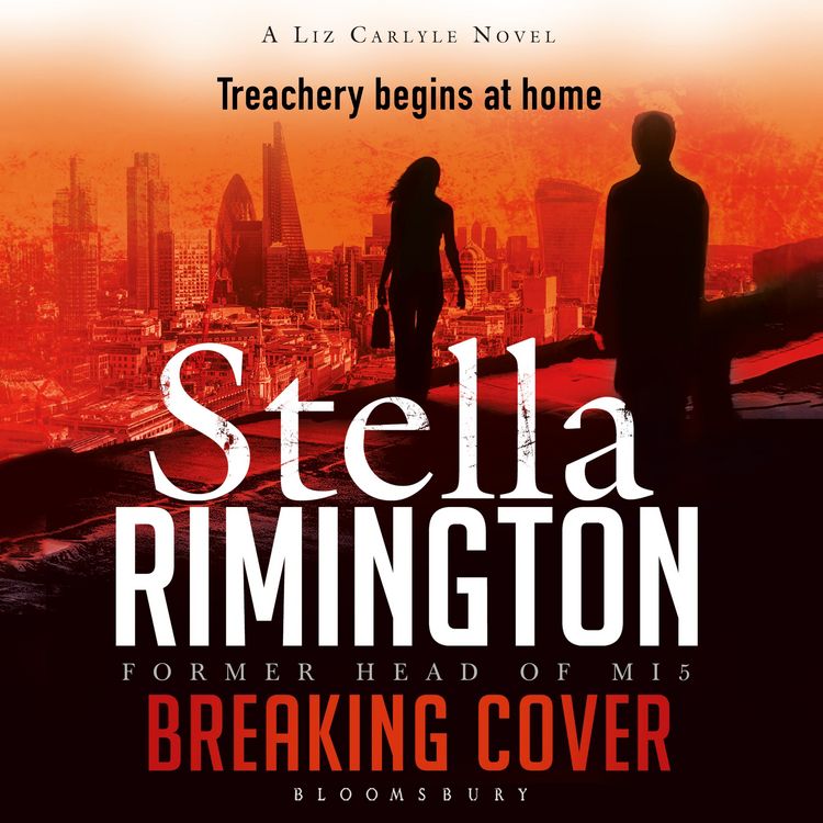 Produktbild: Breaking Cover