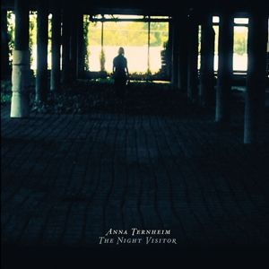 Produktbild: The Night Visitor (Ltd. Edt.)