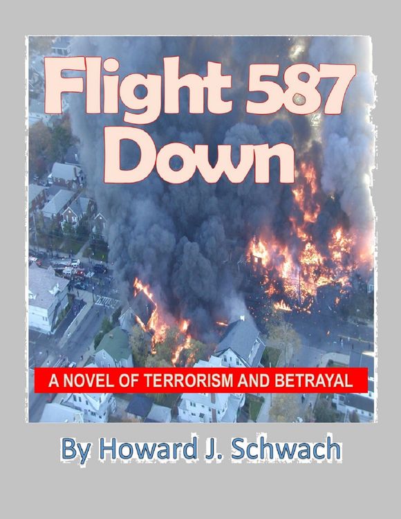Produktbild: Flight 587 Down