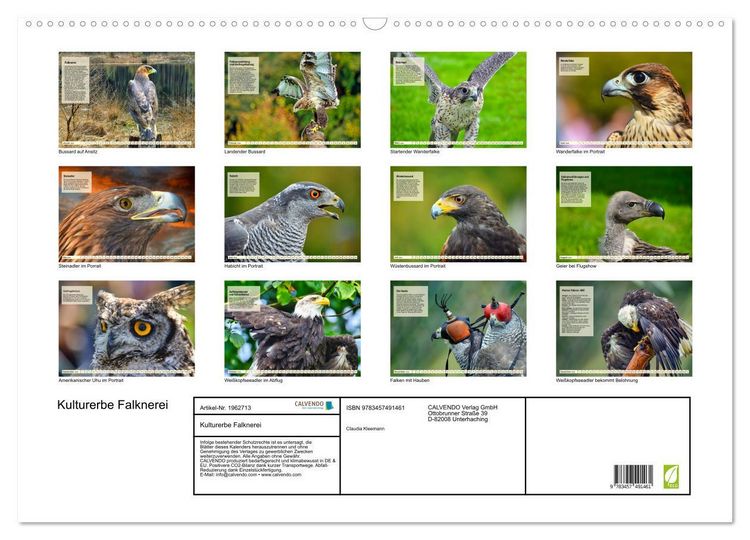 Produktbild: Kulturerbe Falknerei (Wandkalender 2026 DIN A2 quer), CALVENDO Monatskalender
