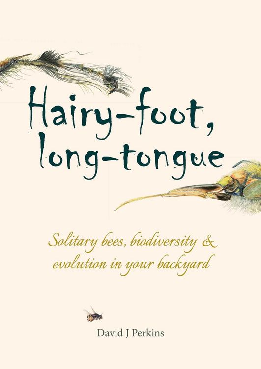 Produktbild: Hairy-foot, long-tongue