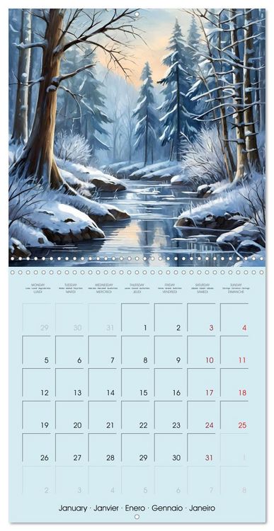 Produktbild: The forest through the seasons (Wall Calendar 2026 12 &times; 12 Inch) CALVENDO 12 Month Wall Calendar