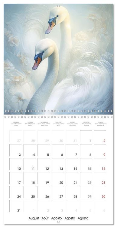 Produktbild: Delicate animal portraits (Wall Calendar 2026 12 &times; 12 Inch) CALVENDO 12 Month Wall Calendar